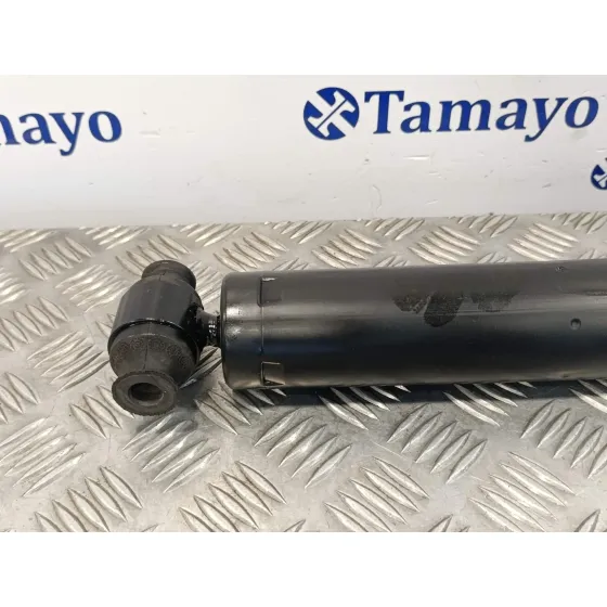 Amortiguador Trasero para Ford Transit Kastenwagen (Ttg)
