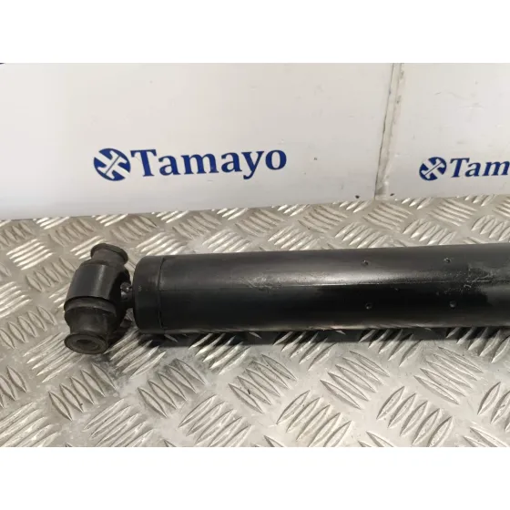 Amortiguador Trasero para Ford Transit Kastenwagen (Ttg)