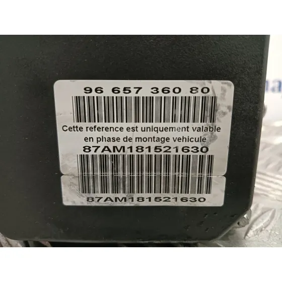 Abs para Peugeot 407
