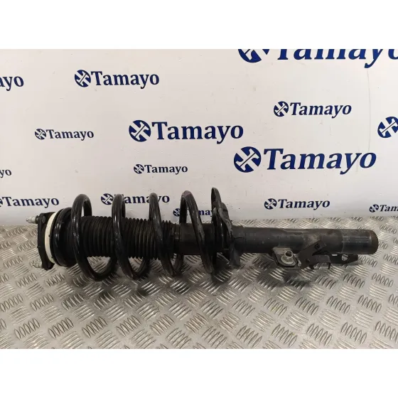 Amortiguador Delantero para Ford Transit Kastenwagen (Ttg)