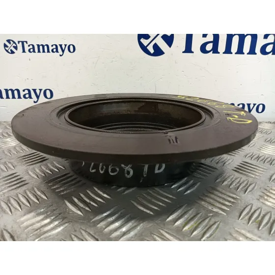 Disco Freno Trasero para Nissan Qashqai (J10)