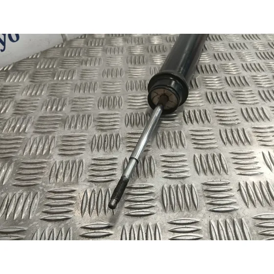 Amortiguador Trasero Izquierdo para Renault Clio V