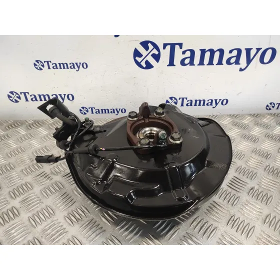 Mangueta Trasera Derecha para Nissan Qashqai (J11)