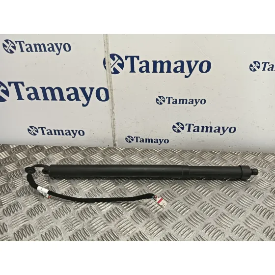 Amortiguadores Maletero / Porton para Land Rover Discovery Sport