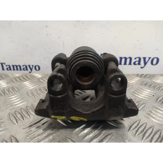 Pinza Freno Trasera Derecha para Bmw X5 (E53)