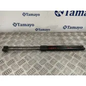 Amortiguadores Maletero / Porton para Audi A1 Sportback (8Xf)