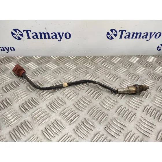 Sonda Lambda para Seat Ibiza Sc (6P5)