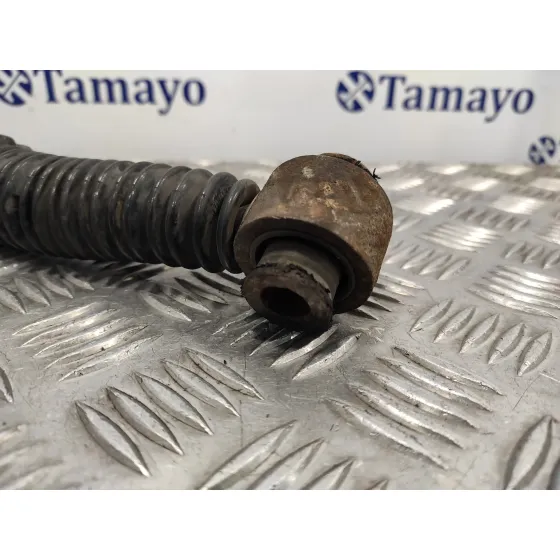 Amortiguador Trasero para Peugeot 5008