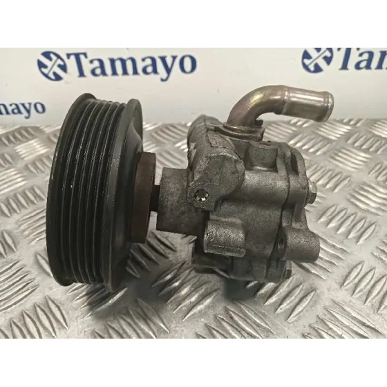 Bomba Direccion para Seat Toledo (1M2)