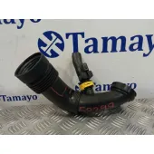 Tubo para Peugeot 308 Sw