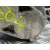 Caja Cambios para Renault Megane Ii Berlina 5P