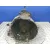 Transmision Trasera Izquierda para Nissan Pathfinder (R51)