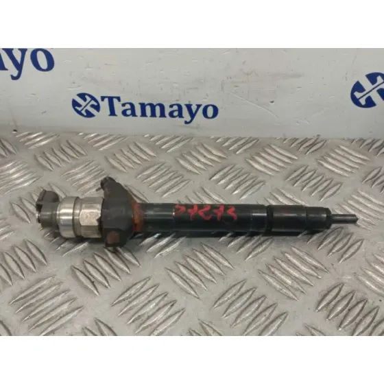 Inyector para Fiat Ducato Caja Cerrada 33, Techo Elevado (06.2006)