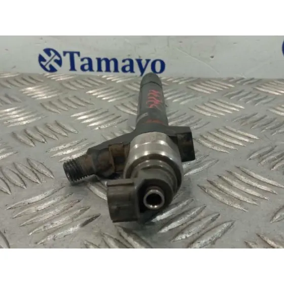 Inyector para Fiat Ducato Caja Cerrada 33, Techo Elevado (06.2006)