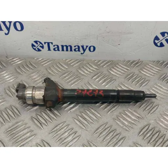 Inyector para Fiat Ducato Caja Cerrada 33, Techo Elevado (06.2006)