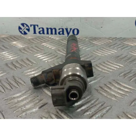 Inyector para Fiat Ducato Caja Cerrada 33, Techo Elevado (06.2006)