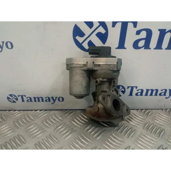 Valvula Egr para Fiat Ducato Caja Cerrada 33, Techo Elevado (06.2006)