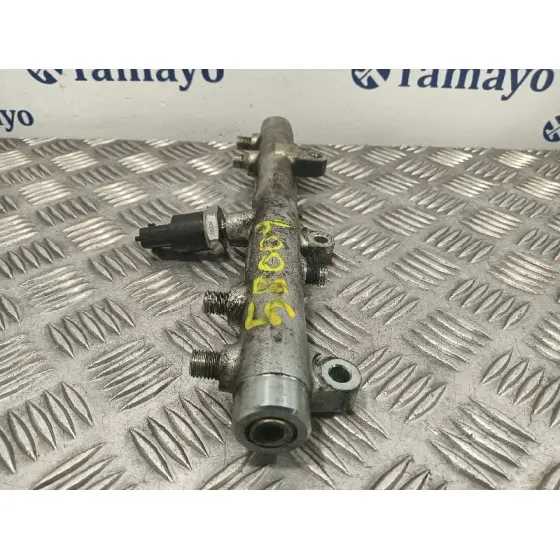 Rampa Inyectora para Peugeot Boxer Furgon Techo Elevado
