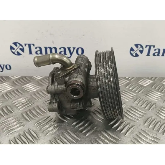 Bomba Direccion para Seat Toledo (1M2)