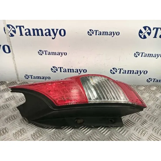 Piloto Trasero Derecho para Renault Scenic Ii