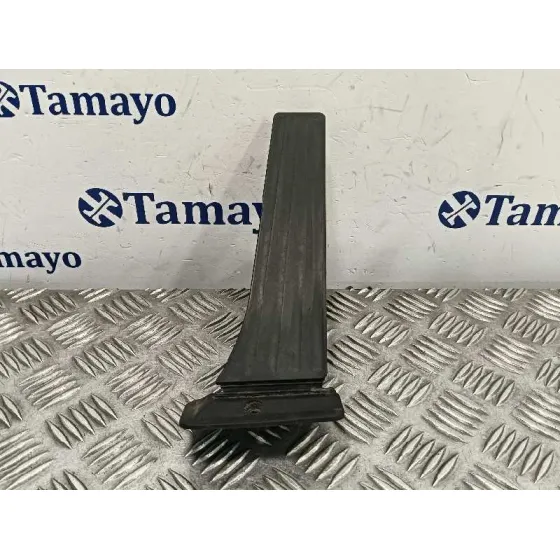 Pedal Acelerador para Bmw X3 (F25)