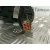 Retrovisor Derecho para Citroën Xsara Picasso