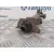 Columna Direccion para Mercedes-Benz Clase C (W202) Berlina