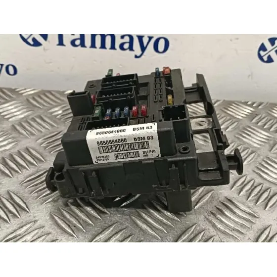 Caja Reles / Fusibles para Peugeot 307 Break / Sw (S1)