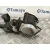 Cinturon Seguridad Trasero Derecho para Nissan Pathfinder (R51)