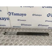 Amortiguadores Maletero / Porton para Peugeot Expert Tepee