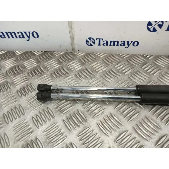Amortiguadores Maletero / Porton para Peugeot Expert Tepee