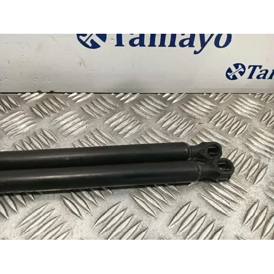 Amortiguadores Maletero / Porton para Peugeot Expert Tepee