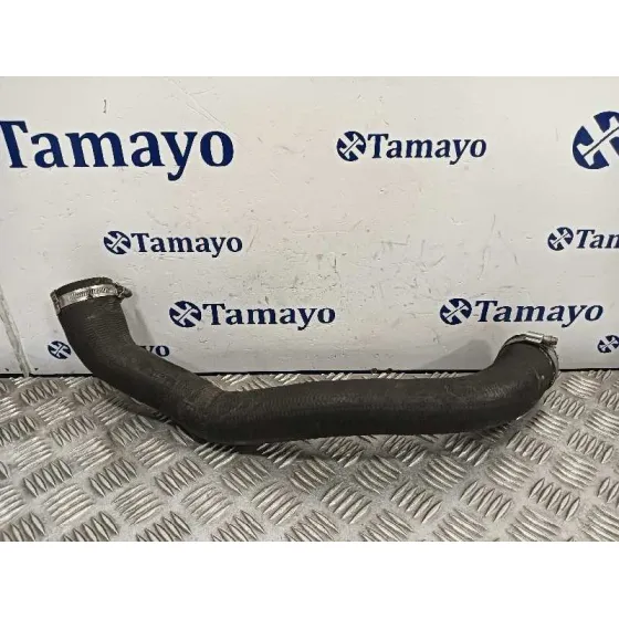 Tubo para Peugeot 308 Sw