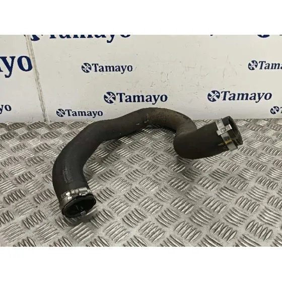 Tubo para Peugeot 308 Sw