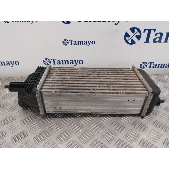 Intercooler para Peugeot Expert