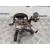 Bomba Direccion para Nissan Pathfinder (R51)