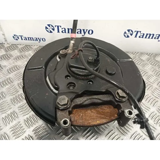 Mangueta Trasera Derecha para Nissan Qashqai (J10)