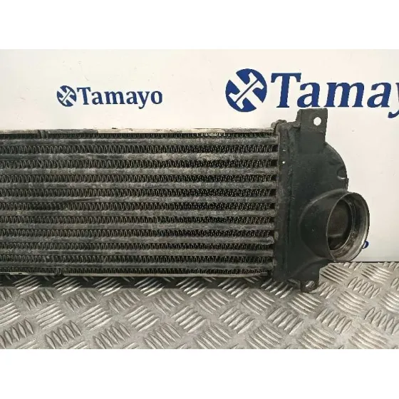 Intercooler para Mercedes-Benz Clase M (W163)