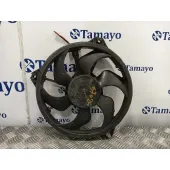 Electroventilador para Peugeot Expert Tepee
