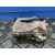 Pinza Freno Trasera Derecha para Nissan Qashqai (J10)