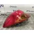 Piloto Trasero Izquierdo para Subaru Legacy Familiar/Outback B13 (Bp)