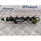 Rampa Inyectora para Citroën C3