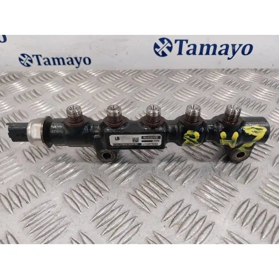 Rampa Inyectora para Citroën C3