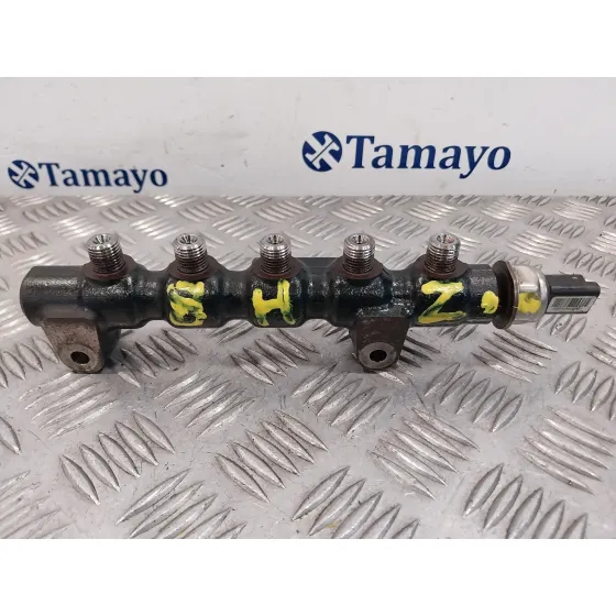Rampa Inyectora para Citroën C3