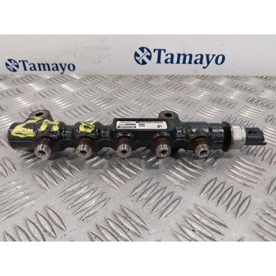 Rampa Inyectora para Citroën C3