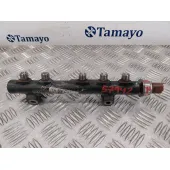 Rampa Inyectora para Citroën C4 Ii (Nc_)