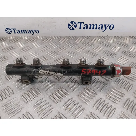 Rampa Inyectora para Citroën C4 Ii (Nc_)