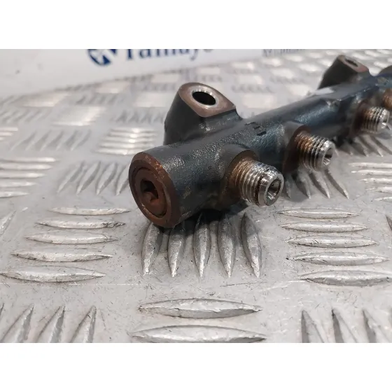 Rampa Inyectora para Citroën C4 Ii (Nc_)
