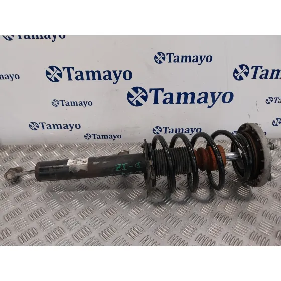 Amortiguador Delantero Izquierdo para Bmw X3 (F25)
