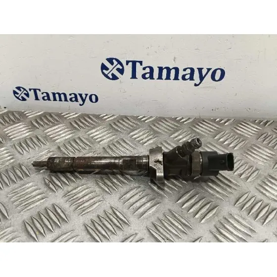 Inyector para Fiat Bravo (198)